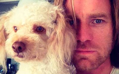 Звезды в соцсетях: выпуск с песиками