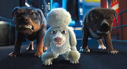 Кадр из фильма "Большое путешествие" - 2