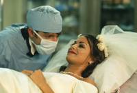 Кадр Брачные игры земных обитателей