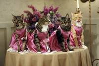 Кадр Как я встретил вашу маму