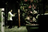 Кадр Ип Ман