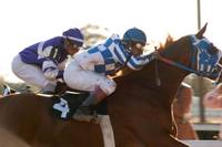 Кадр Чемпион