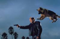 Кадр К-911 (видео)