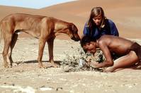 Кадр В плену песков