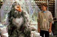 Кадр Бесконечная история