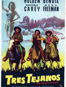 Улицы Ларедо