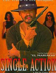 Одинокий мститель