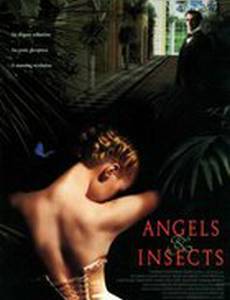 Ангелы и насекомые