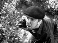 Кадр Когда деревья были большими