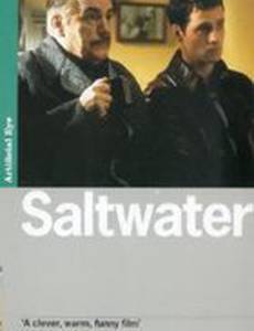 Солёная вода