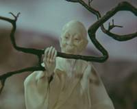 Кадр Акаиро