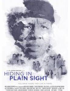 Hiding in Plain Sight