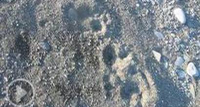 Промо-ролик «След»