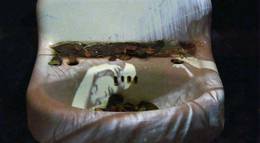 Кадр из фильма "Раковина Майи Дерен (видео)" - 1