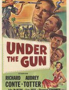 Под прицелом