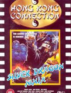 Silver Dragon Ninja
