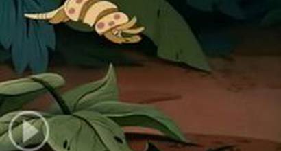 Мультфильм 