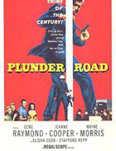 Дорогой воровства