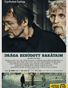 Дорогие преданные друзья