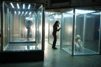 Кадр Континуум