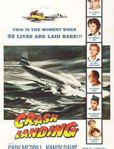 Вынужденная посадка