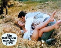 Кадр Все кошки любят полакомиться