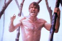 Кадр Берег москитов