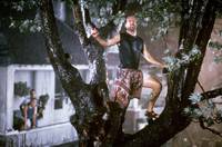 Кадр В стране