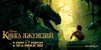 Постер Книга джунглей