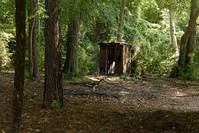 Кадр Воскрешение