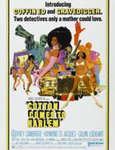 Хлопок прибывает в Гарлем