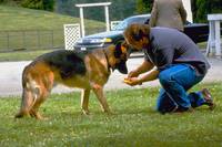 Кадр К-9 III: Частные детективы (видео)