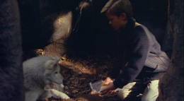 Кадр из фильма "Время волка" - 2