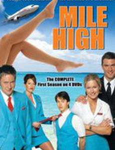 Стюардессы