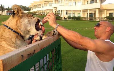Звезды в соцсетях: жертвы моды, «геи» из «Игры престолов» и Вин