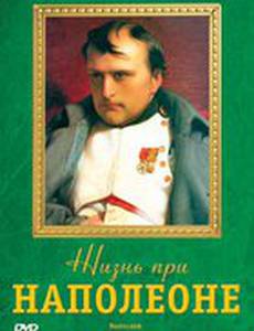 Жизнь при Наполеоне