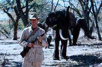 Кадр Белый охотник, черное сердце