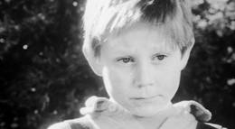 Кадр из фильма "Als ich noch der Waldbauernbub war..." - 2