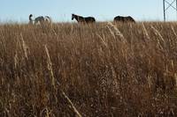 Кадр К чуду