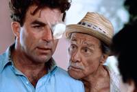 Кадр Предки