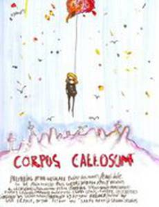 Corpus Callosum