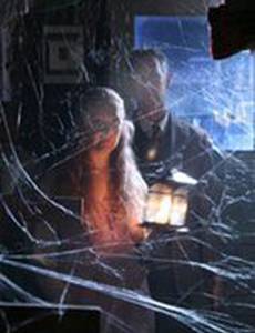 In Search of Lovecraft