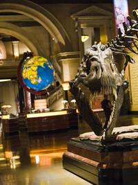 Кадр Ночь в музее