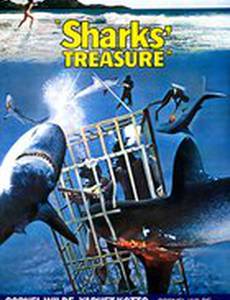 Sharks' Treasure