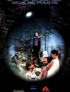 Некоторые птицы никогда не долетят