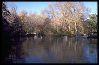 Кадр Властелин колец: Братство кольца