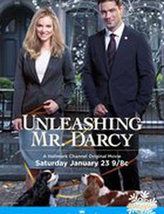 Unleashing Mr. Darcy