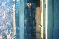 Кадр Идентификация