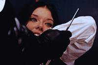 Кадр Птица с хрустальным оперением