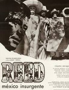 Мексиканский повстанец